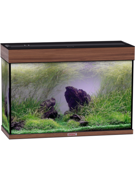 Аквариум Аквас без тумбы, 120 л (81х31х57) см